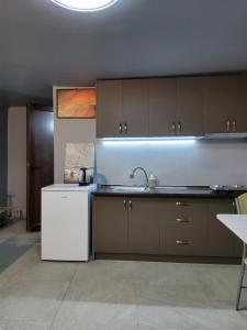 eine Küche mit Spüle und einem weißen Kühlschrank in der Unterkunft Ramgon in Gonio