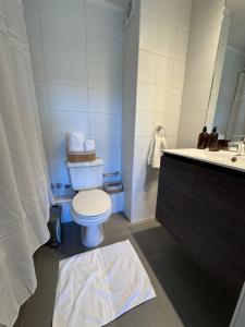 Fotografie z fotogalerie ubytování Alerce Apart v destinaci Los Ángeles