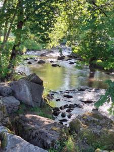 Příroda nedaleko penzionu