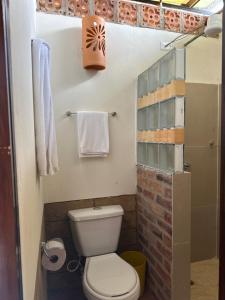 a small bathroom with a toilet and a shower at Villas de Sutamarchan in Sutamarchán +16 photos