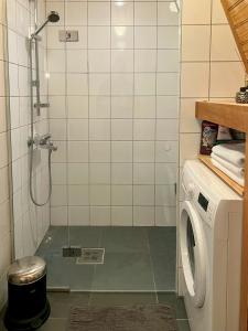 um banheiro com chuveiro e máquina de lavar em Historic Cabin By Lærdal River em Tønjum mais 24 fotografias