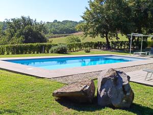 a swimming pool with a rock in the grass at Rara Factory Design House in Orvieto +190 photos
