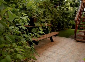 a wooden bench sitting in the middle of a garden at Sportowa 34 in Bełchatów