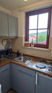 Η κουζίνα ή μικρή κουζίνα στο Waldliebe +19 φωτογραφίες