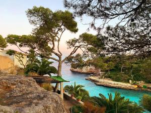 Cala LlombardsVilla Embarcadero的树木的水域景观