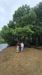 Un paisaje natural cerca de la habitación en casa particular