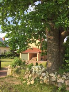 ein Haus mit einem Baum und einer Steinmauer in der Unterkunft Kaschubische Schweiz : Oase der Entspannung in Łyśniewo