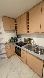 Η κουζίνα ή μικρή κουζίνα στο Apartment-Alex