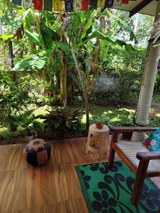 Κήπος έξω από το Green Eyes Villa