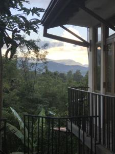 Příroda nedaleko prázdninového domu