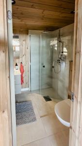 Koupelna v ubytování Cozy Cabin With Fantastic Mountain Views In Oppheimåsen