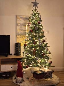 Hillside Cottage في بيتْش: شجرة عيد الميلاد في غرفة معيشة مع كلب تحتها