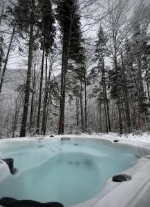 Το Chalet Le St-Ray τον χειμώνα