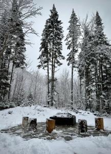 Το Chalet Le St-Ray τον χειμώνα