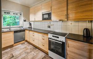 Kuchyň nebo kuchyňský kout v ubytování 3 Bedroom Lovely Apartment In Eidfjord