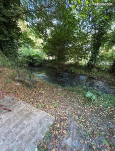 una corriente de agua con hojas en el suelo en Chambre privée au bord de la rivière,  11 fotos más
