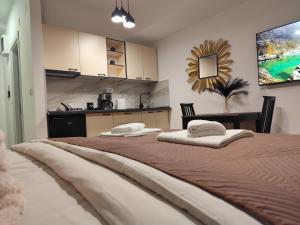 Köök või kööginurk majutusasutuses Kael apartment