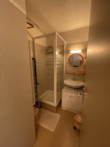 Ένα μπάνιο στο Studio porte du sud +30 φωτογραφίες