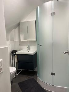 Lumio Apartment 1 في كارلسروه: حمام مع دش ومغسلة ومرحاض