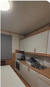 Køkken eller tekøkken på Rose Rooms