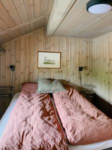 Postel nebo postele na pokoji v ubytování Cozy Cabin With Fantastic Mountain Views In Oppheimåsen