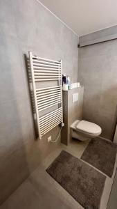 Arni AlpCrans-Montana Chalet dans la nature ski in ski out的一间带卫生间的浴室、一个窗户和地毯 更多60张照片