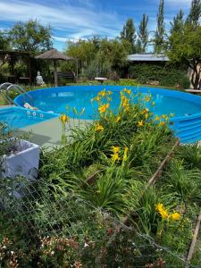 Bazén v ubytování Cabañas La Chakana nebo v jeho okolí