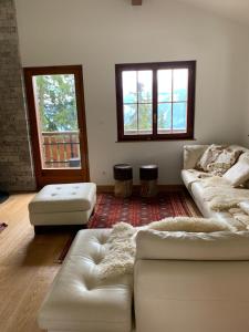 Arni AlpCrans-Montana Chalet dans la nature ski in ski out的客厅设有2张沙发和2扇窗户