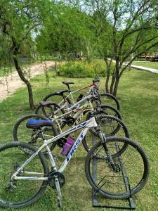 duas bicicletas estacionadas na relva num parque em Glampings Ñae Guazu em San José