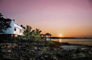 Příroda nedaleko vily