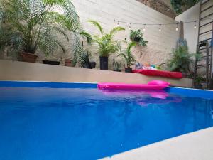 a swimming pool with a pink object in the water at Pool House Hostel in Santa Ana