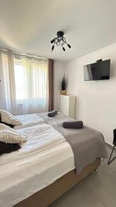 桑多梅日Domek Krucza的卧室配有一张大床,墙上配有电视