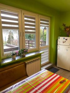 une cuisine avec des murs verts, un réfrigérateur et des fenêtres dans l'établissement Pokoje na wynajem "Pod Lasem", à Balice