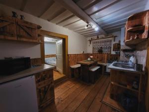 Η κουζίνα ή μικρή κουζίνα στο Drevenica M&P +6 φωτογραφίες