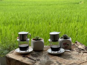 drie koffiepotten op een stronk voor een veld bij Expeditions home in Ha Giang +2 foto's