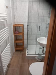 een kleine badkamer met douche en wastafel bij Ferienwohnungen Albinshof in Krien