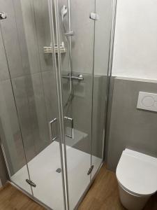 a shower with a glass door next to a toilet at Molinari House Modena Giada - FREE ZTL in Modena +1 photo