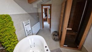 a bathroom with a tub and a shower and a toilet at Jasna Chalet - Chopok view Apartment with sauna and whirlpool bathtub in Belá +52 photos