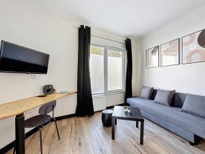 TV a/nebo společenská místnost v ubytování Appartement lumineux en rez-de-chaussée vers CHU