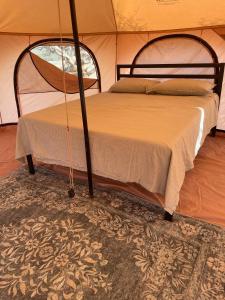 Un dormitorio con una cama en una tienda de campaña. en Eco Glamping Biosfera - Bahia Turquesa, en La Ventana