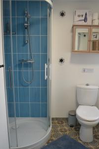 La Blanche des Marais, maison de ville في Picauville: حمام مع دش ومرحاض