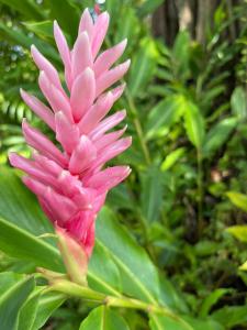 Imagen de la galería de Gingerlilly Villa - with stunning harbour views, en Port Elizabeth 65 fotos más