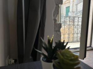 Una ventana con vista a una valla y una planta. en bedbreakfast DINASTIA, en Monterosso Almo