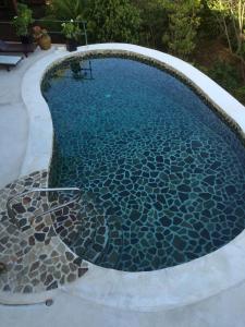 Port ElizabethにあるGingerlilly Villa - with stunning harbour viewsのタイルフロアのスイミングプール(青い水)