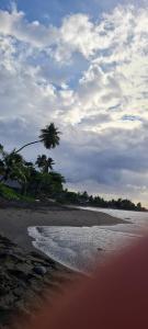 a beach with a palm tree and the ocean at Fare Tupaia in Arue +11 photos