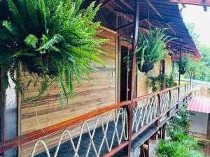 Μπαλκόνι ή βεράντα στο Arrecife Eco Cabañas Palomino