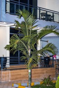 Fotografie z fotogalerie ubytování Urban Haven v destinaci Kigali