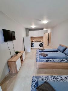 a living room with two beds and a kitchen at Flex loft in Sofia