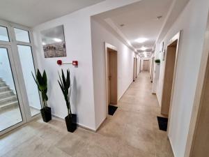 a corridor of an office with white walls and plants at Flex loft in Sofia