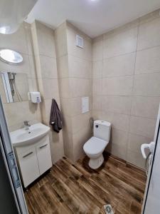 a bathroom with a toilet and a sink at Flex loft in Sofia